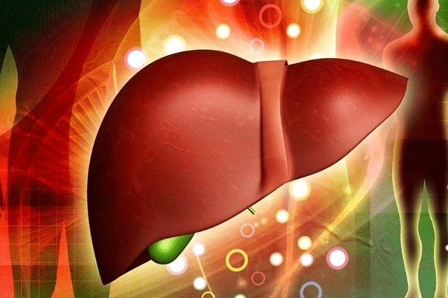 the effect of drugs on strength in the liver