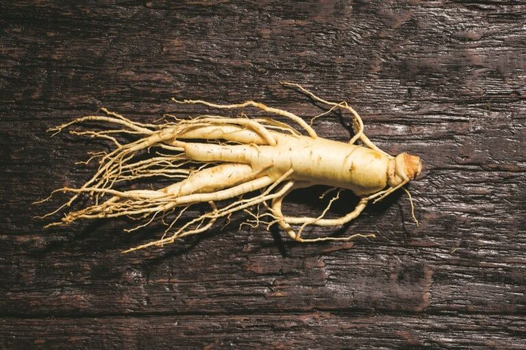 Ginseng root that stimulates blood circulation in the male genitals